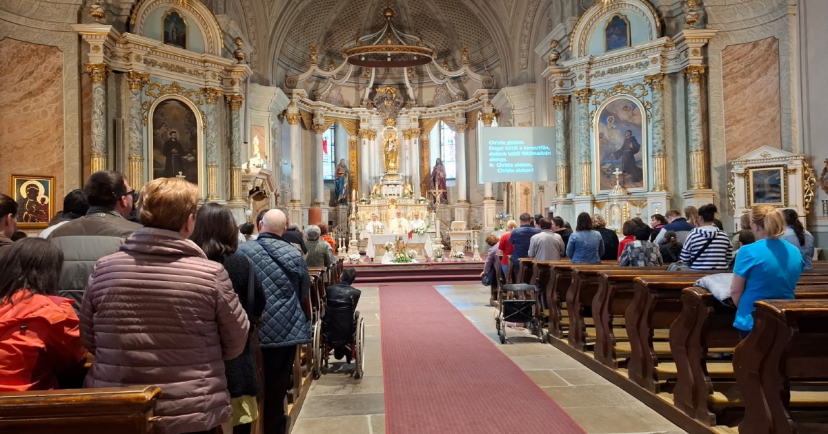 A fogyatékkal élők ünnepe Csíkszeredában
